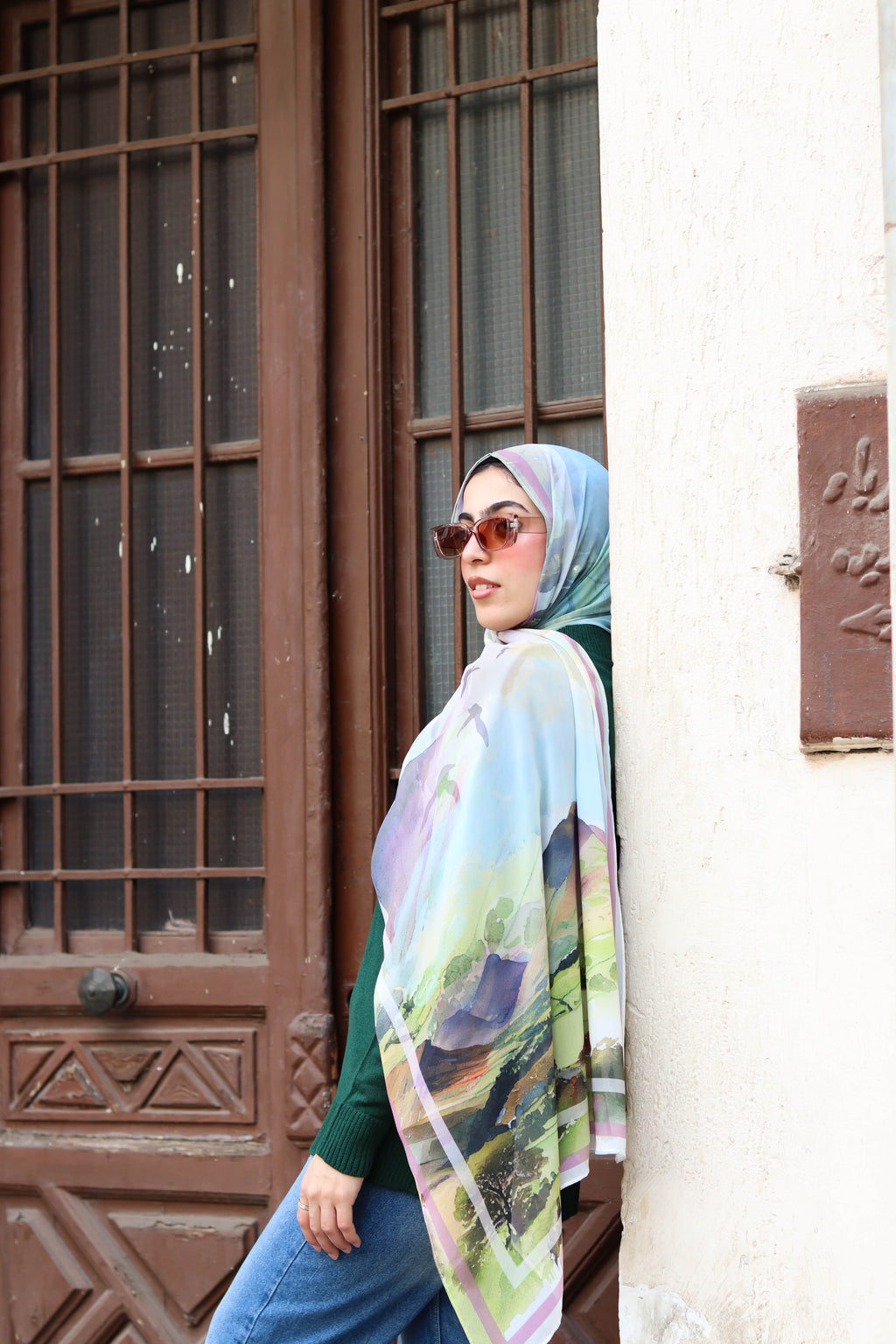 Anne in Chiffon